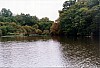 002 - Bretagna - Savenay - Scorci sul fiume