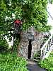 05 - Allouville - albero secolare