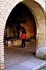 029 - Gorizia - Borgo castello