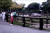 002 - Lignano - Zoo - Stefy e Miky al recinto dei cavalli