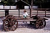 013 - Lignano - Zoo - Stefy sul carro