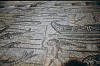 020 - Aquileia - Basilica - Mosaico