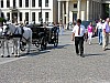020 - Germania - Berlino - Carrozza in Pariser Platz