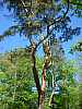 11 - Botanischer Volkspark Pankow