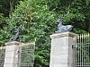 13 - Newstrelitz - Parco nazionale di Muritz