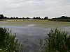 19 - Bio-riserva Schorfheide-Chorin