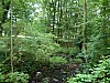 22 - Bio-riserva Schorfheide-Chorin