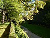84 - Wurzburg