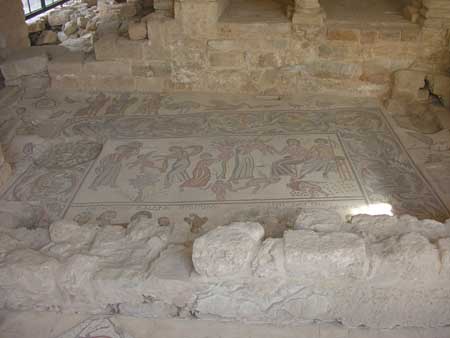 19 - Madaba - Parco archeologico