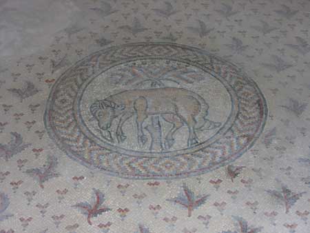 29 - Madaba - Museo