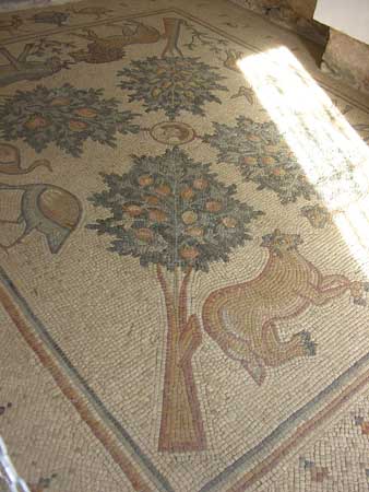 30 - Madaba - Museo