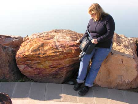 03 - Panoramic Complex - Michela