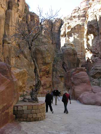 032 - Petra - Siq