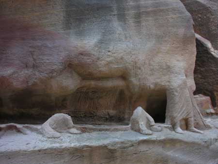 041 - Petra - Siq - Cammello e carovaniere
