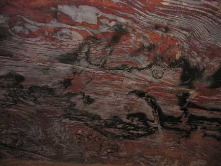 092 - Petra - Tombe reali - soffitto