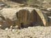 011 - Petra - Viale di accesso - tombe Nabatee