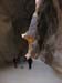 030 - Petra - Siq
