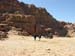 068 - Petra - Strada delle facciate