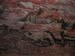 092 - Petra - Tombe reali - soffitto