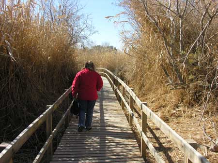 02 - Riserva naturale delle paludi di Azraq