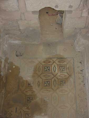 06 - Um Ar-Rasas - Mosaico della chiesa di S Stefano
