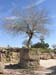 17 - Umm Qais Sito archeologico della citta' romana di Gadara