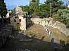29 - koroni