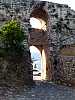 40 - koroni
