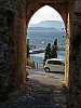 41 - koroni