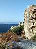 43 - koroni