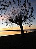 07 - Bolsena