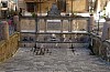 50 - Bolsena