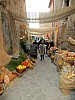 42 - Civita di Bagnoregio