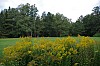 004 - Parco Nazionale Kemeru