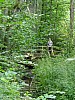 009 - Parco Nazionale Kemeru