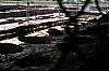 051 - Ortonovo (SP) - Sito archeologico di Luni