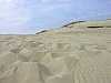 13 - Lituania - Penisola Neringa - Dune di sabbia