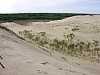 15 - Lituania - Penisola Neringa - Dune di sabbia