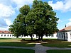 024 - Monastero di Pazaislio