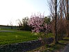 09 - Ciclabile sul Mincio