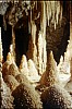 020 - Genga (AN) - Grotte di Frasassi - Sala del tesoro - l'abetaia