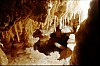022 - Genga (AN) - Grotte di Frasassi - Sala del tesoro - fallo