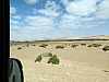 17 - Ritorno a Laayoune - Panorama desertico