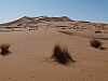 07 - Merzouga - Le grandi dune