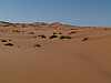 15 - Merzouga - Le grandi dune