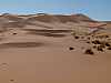 16 - Merzouga - Le grandi dune