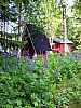 30 - Finlandia - Virtain Perinnekyla - Museo all'aperto