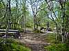 22 - Finlandia - Luonnonpuisto Kevo - Punto base