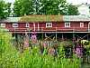 18 - Norvegia - Isole Lofoten - Svolvaer - Casa con erba sul tetto