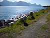 22 - Norvegia - Isole Lofoten - Haukland - Riserva naturale